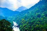 Adventures at Kithulgala
