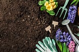 Alex Nieora Lists Some of the Tools that Every Gardener Needs