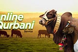 Online Qurbani service | Buy qurbani animals online at Erocery