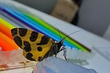 Mariposa amarilla con manchas negras, plumones de colores