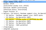 Debugging Slow Backends Using Wireshark and TCP Dump