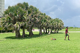 The author’s cousin walking the dog in Havana, Cub next to palm trees