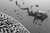 Science that materialism fails to explain