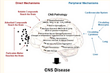 Air pollution and Brain Health: Why the Quality of Our Air Is So Important