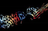 Quantum Annealing: 2D Lattice Protein Folding