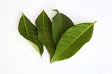 10 Surprising Health Benefits of Bay Leaf Powder