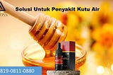 JAMINAN ASLI, PROPOLIS AUTOMUN / 0819–0811–0880, Solusi Untuk Penyakit Kutu Air Di Bogor