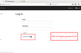 Top Bugs you must look for pentesters and bug bounties — Forgot Password