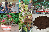Saving Seeds, Sharing Shoots and Swapping Stories: Reviving Horticultural Heritage By Vijaya…