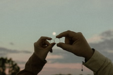 Trust is Everything