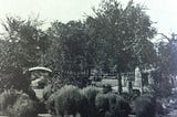 LOOKBACK: Monkeys once drew crowds along Austin Mill Pond