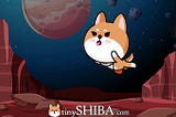What is a TinyShiba Cryptocurrency, and how does it work?