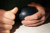 Safety Holes Could Save Our Most Endangered Birds, even GIB!