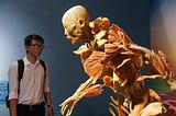 Exhibition of body specimen, curiosity, and the morality