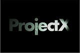 隆重推出ProjectX：单页寻呼机
