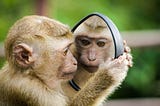 Reflection and how to use it