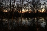 Next to the river at dusk, looking through the birch trees at the water and the remains of sunset on the far side