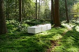 A sunny forest with mossy ground on which lies a bright white coffin made from mycelium. The coffin looks light, as if made of styrofoam, and is tied with 2 beige straps.