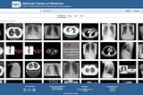 Top Open Healthcare Datasets (Global + Indian), and What Engineers Can Build With Them