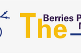 Case Study: Berries Pricing Model