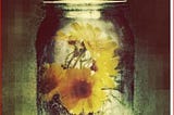 “Awaken” by Katie Kacvinsky