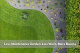 Low-Maintenance Garden: Less Work, More Blooms