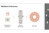 Breaking the Pattern with AlphaFold: Introducing the Structural Novelty Index