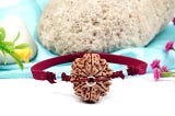 Dus Mukhi Rudraksha — 10 Faced Rudraksha Benefits