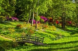 Curved wooden bridge in very green park with fuschia shrubs