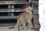 主管看待績效考核三大『有沒有』