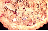 Desserts — Fruit Pies — Plum Pie