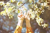 remember flowers?
