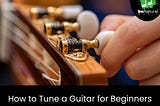 How to Tune a Guitar for Beginners