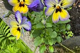 May Breezes Spring inTune