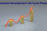 Business Development Life Cycle Phases