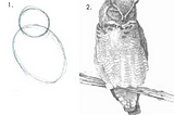 How to draw an owl meme. Step 1: draw some circles. Step 2: draw the rest of the (extremely detailed) owl