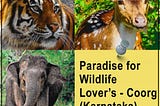 What makes Coorg a wildlife lover’s paradise?