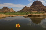 Playing With My Duck in the Dirty River