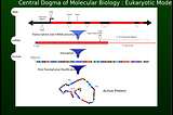 The Central Dogma Of Biology