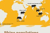 Rhino Species At Risk