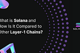 What is Solana and How Is It Compared to Other Layer-1 Chains?
