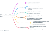 The Differences Between S-Corps and LLCs