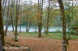 A dirt path parallels a river as it makes its way through the trees while browns and yellow leaves lay scattered across it.