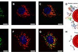 Quantum Dots: Chemistry, Significance, and Applications