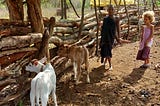 Today’s Visit to The Maasai Village of Our Grandma