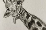A Giraffe, A Bus..