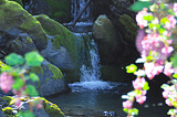 Waterfall, Humboldt, California