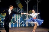 “BYE BYE BIRDIE” AT 65: THAT’S A LOT OF LIVING