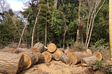 Mastering Logging in Ruby on Rails: A Comprehensive Guide