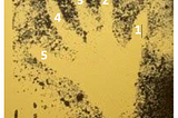 The pre-historic cave arts are considered the oldest mode of communication between humans. The four fingers and the thumb represent the five phases of human existence derived from Maslow’s hierarchy of needs